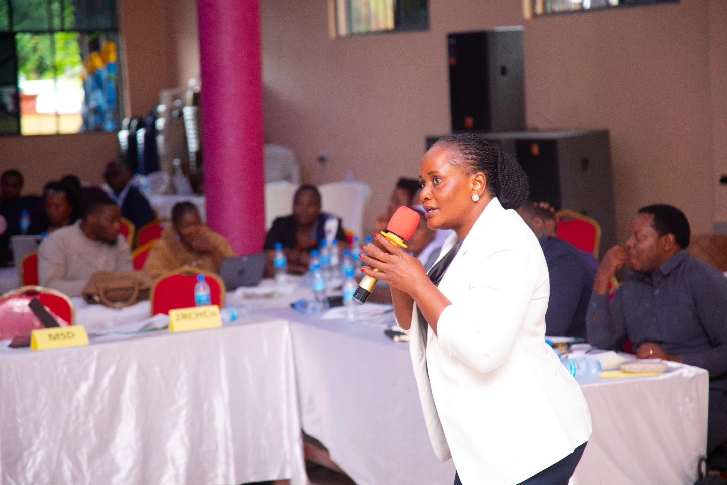 KIKAO KAZI CHA WATAALAMU WA AFYA KUJADILI VIFO VYA AKINA MAMA, WAJAWAZITO NA WATOTO WACHANGA